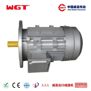 YE3 series high-efficiency three-phase asynchronous motor 4-pole 1500rpm synchronous speed 50HZ