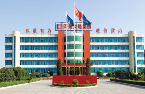 China Weigao Transmission-Henan Dadi Cement Co., Ltd. application case