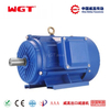 YVPEJ series copper wire wound three-phase 4hp motor