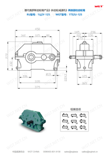 Two-stage cylindrical gearbox 1TS2U-125